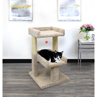 New Cat Condos Wayfair Canada